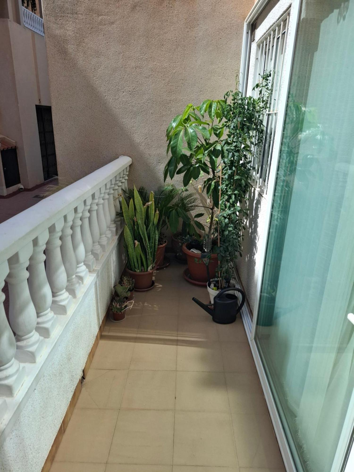 La Casa De Mi Madre Lägenhet Torrevieja Exteriör bild