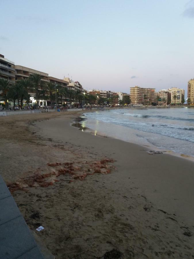 La Casa De Mi Madre Lägenhet Torrevieja Exteriör bild